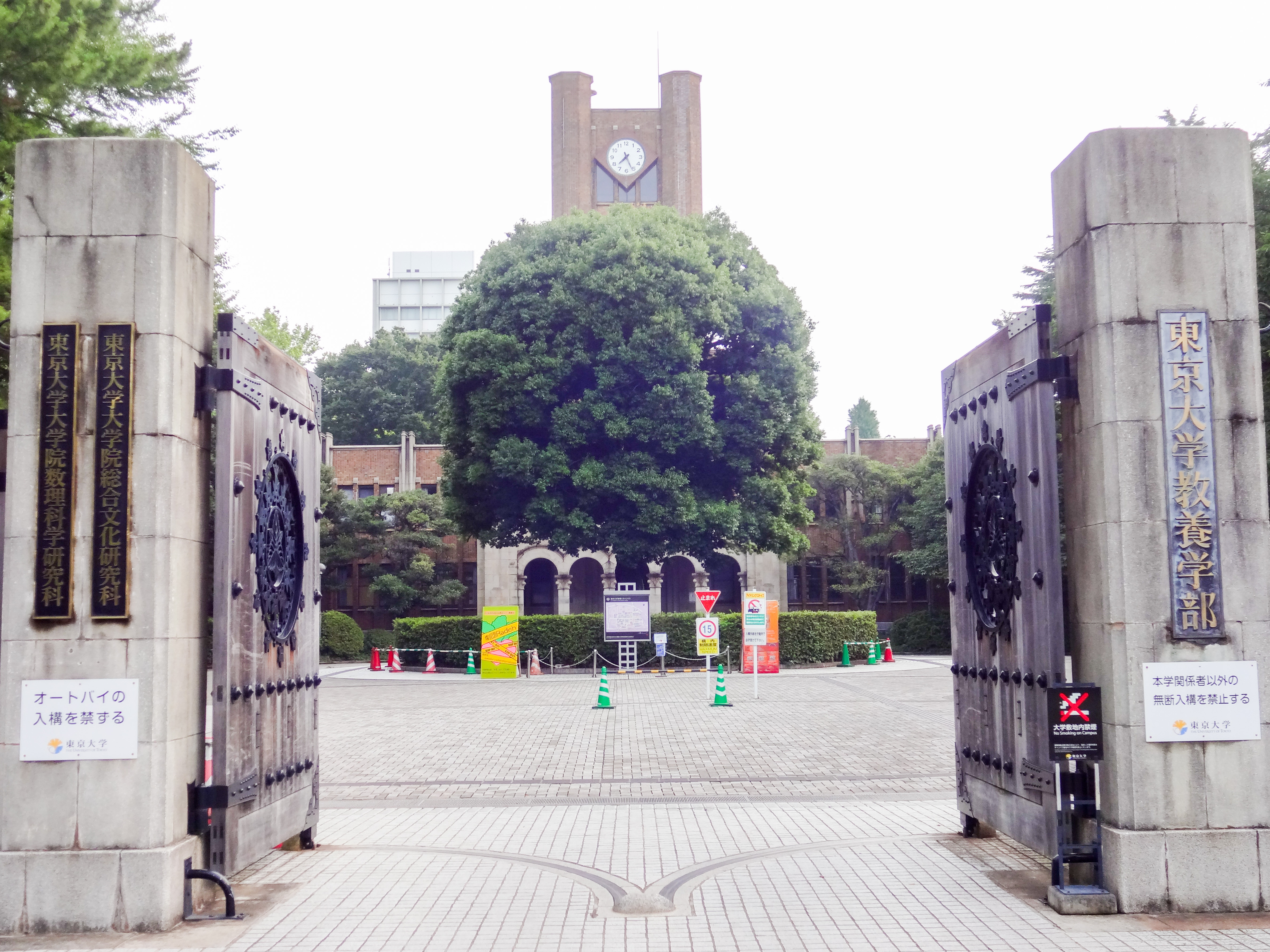 東京大学大学院総合文化研究科 教養学部 Wikipedia