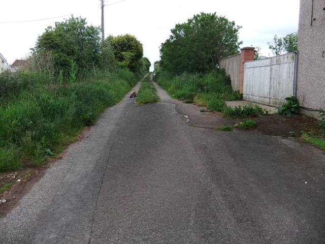 File:Track in Arlecdon - geograph.org.uk - 4538727.jpg