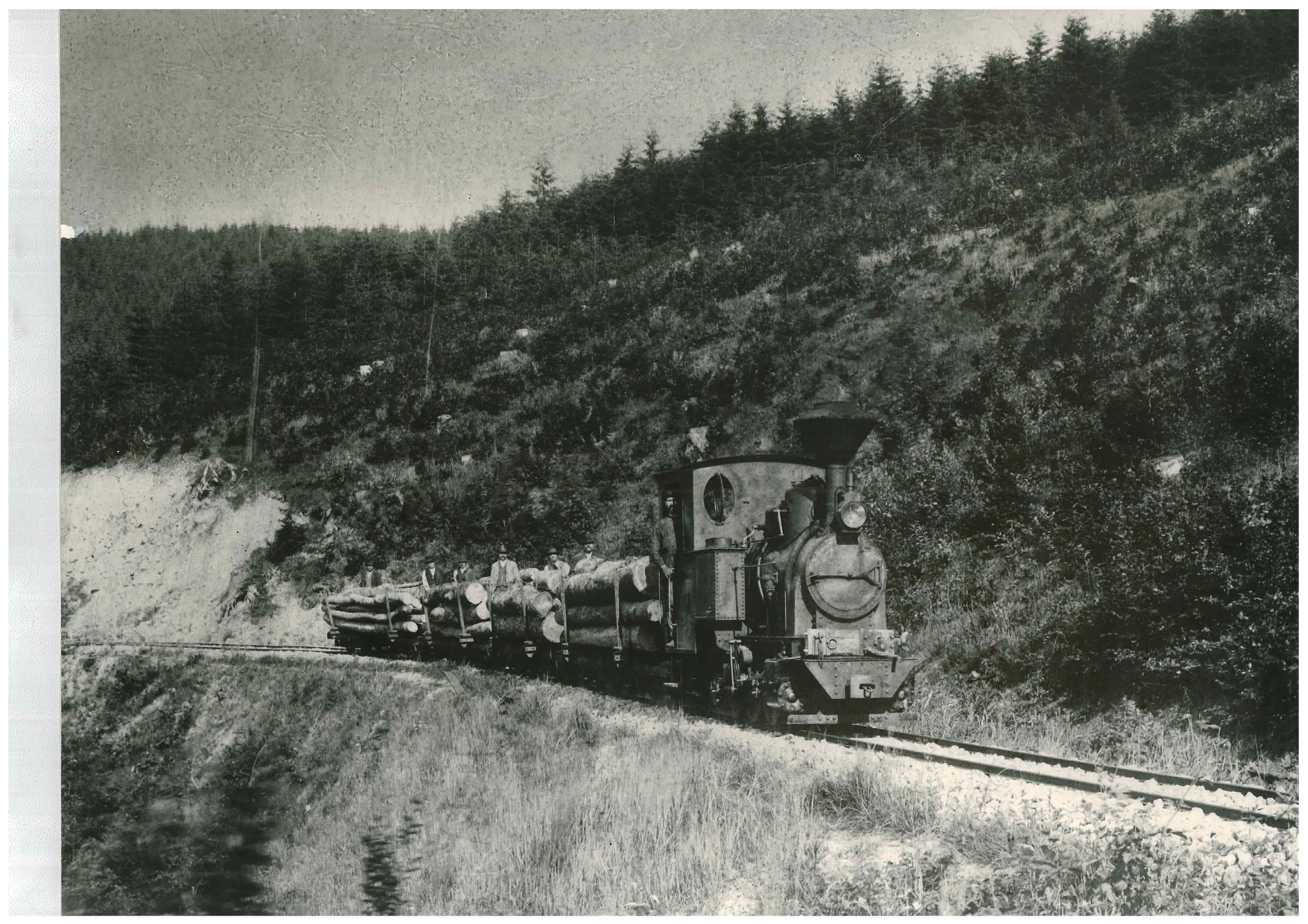 Steam logging in фото 84