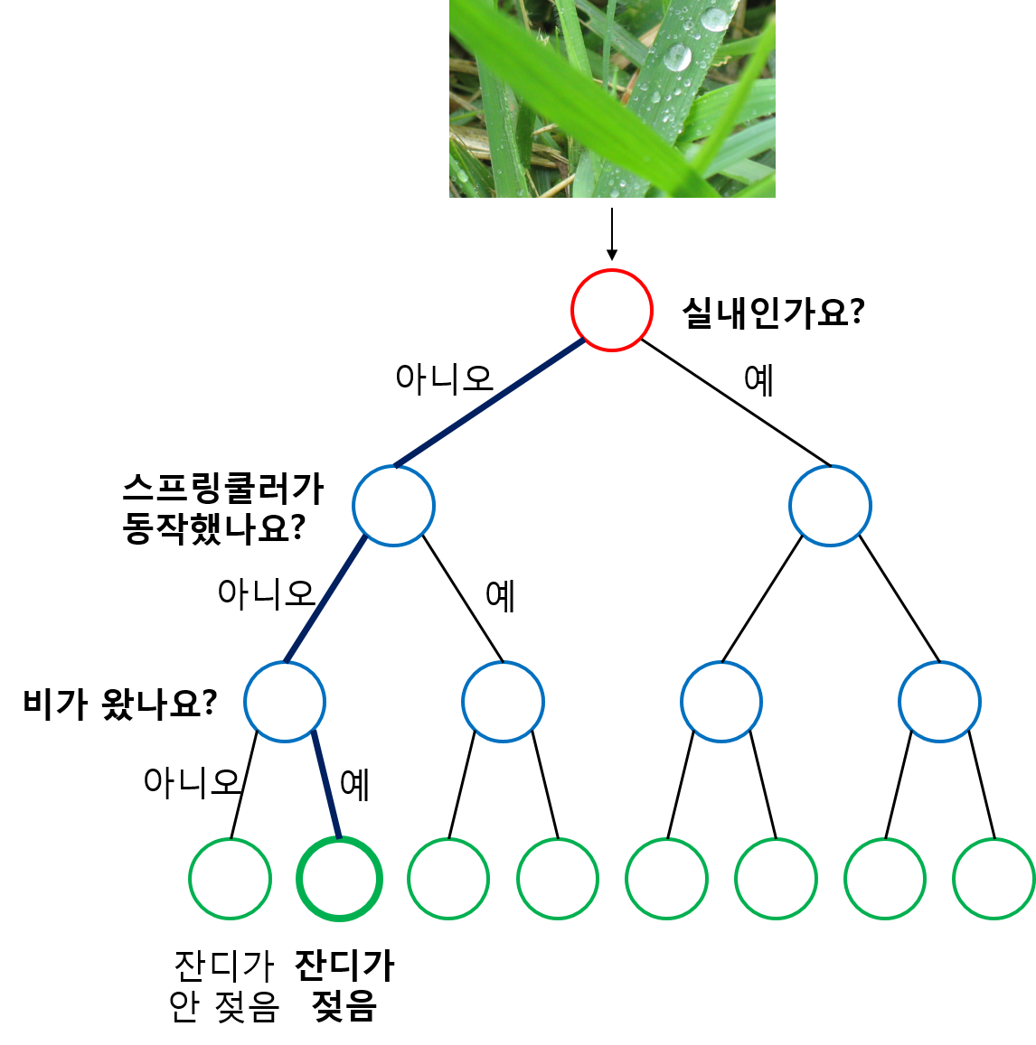 Steam leaf diagrams фото 105