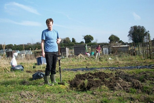 File:Allotments off Norfolk Road, Canterbury - geograph.org.uk - 367347.jpg