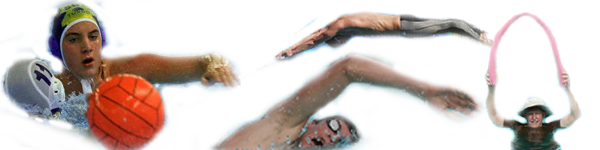 File:Banniere natation.png