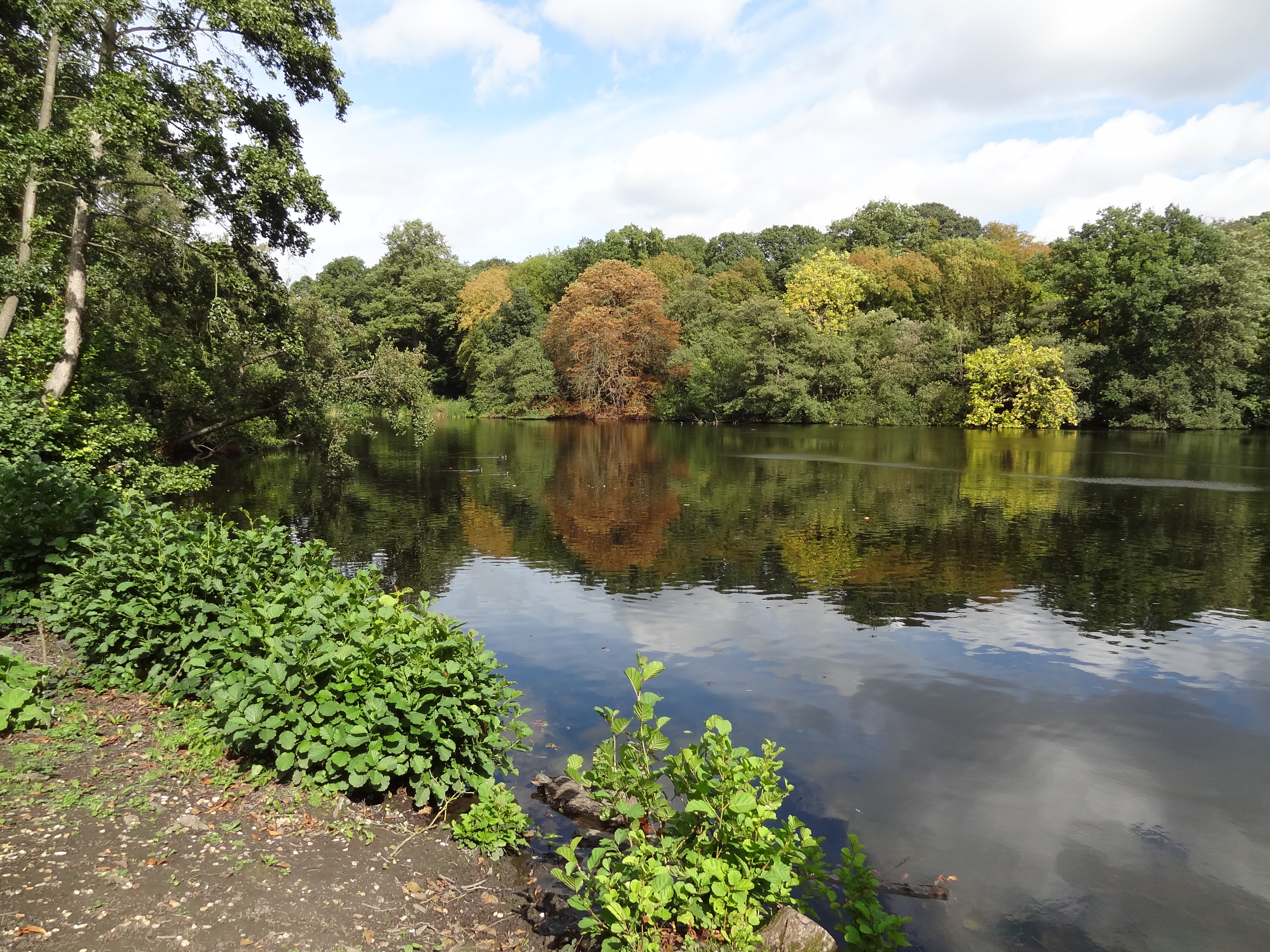 Bentley Priory Nature Reserve