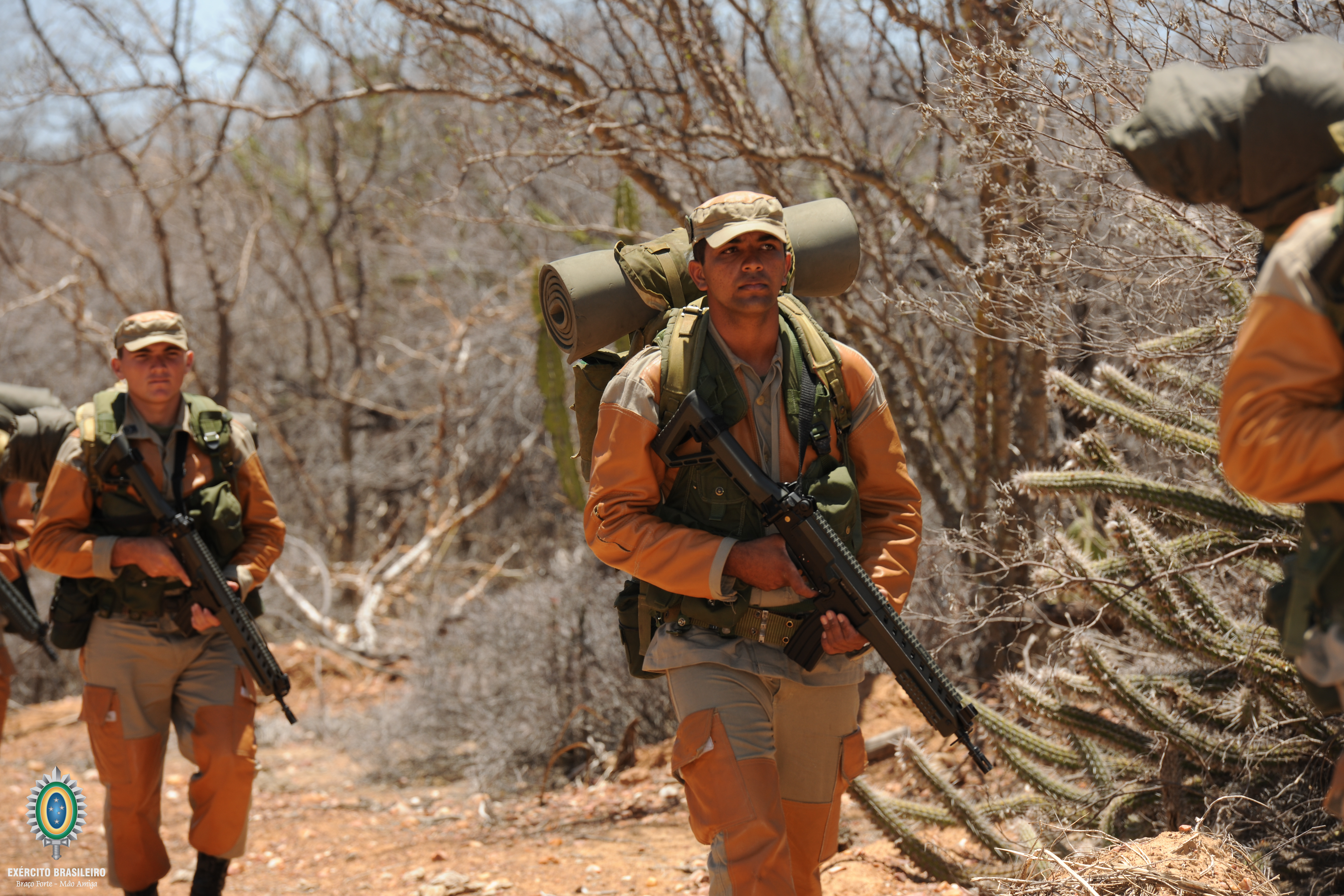 File:Combatente da Caatinga (26700198395).jpg - Wikipedia