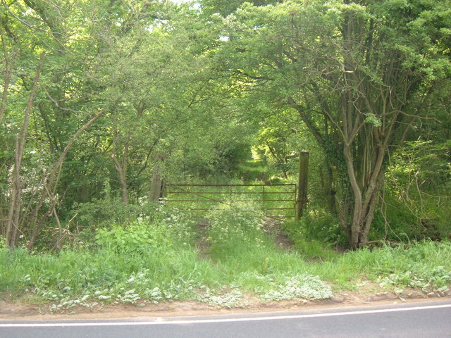 King's Wood, Heath and Reach