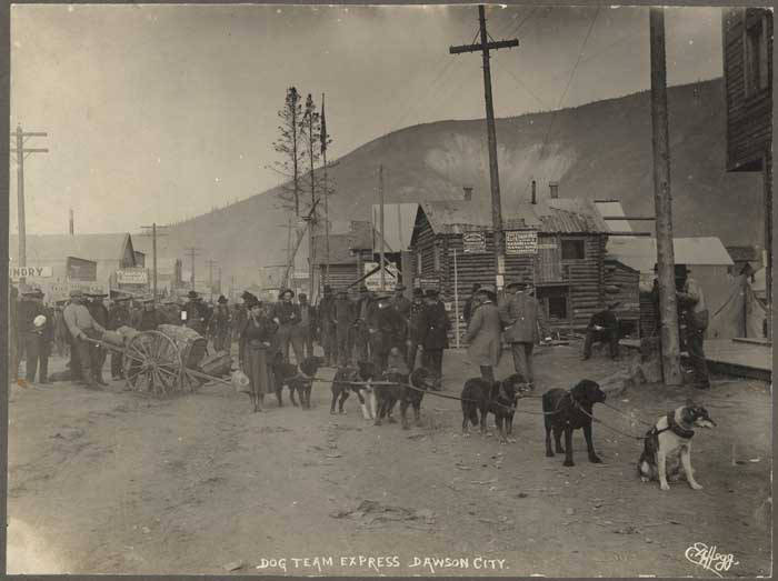 File:Dog team pulling a cart, ca 1898 (MOHAI 6986).jpg