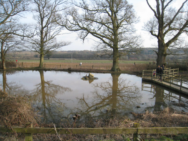 File:Duck Pond - geograph.org.uk - 2325314.jpg