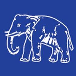 File:Elephant1.jpg