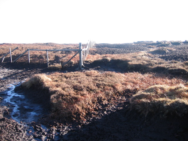 File:Fenced off area for re-vegetation experiment - geograph.org.uk - 1123725.jpg