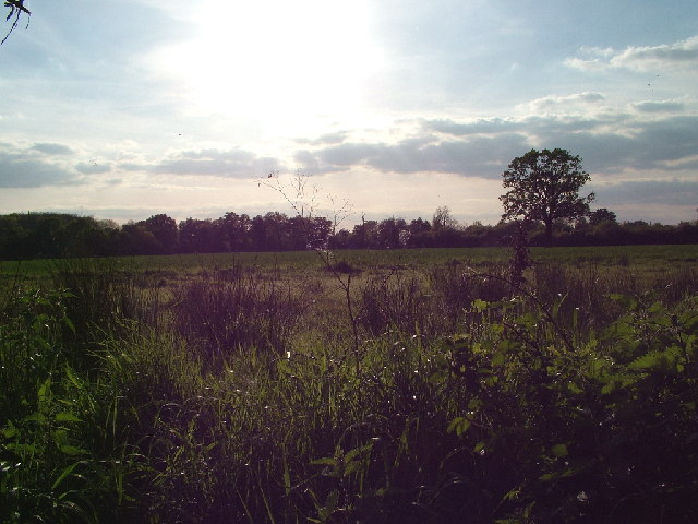 File:Fields of Thurley Farm - geograph.org.uk - 8978.jpg