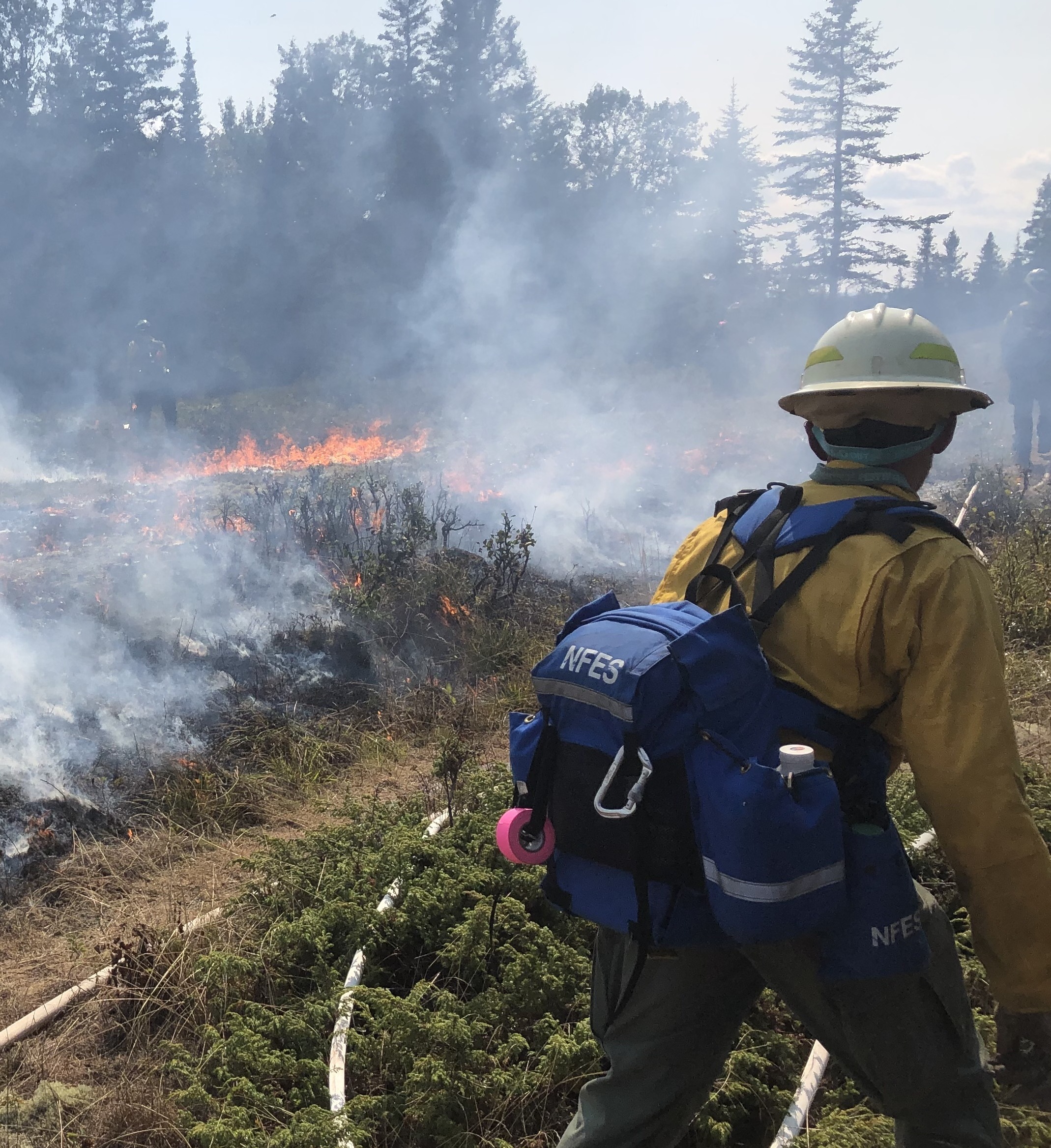 File:Firefighter on Fire Line (d08f0a9a-54fc-4979-8a34-d1625b33e72a)  (cropped).jpg - Wikipedia