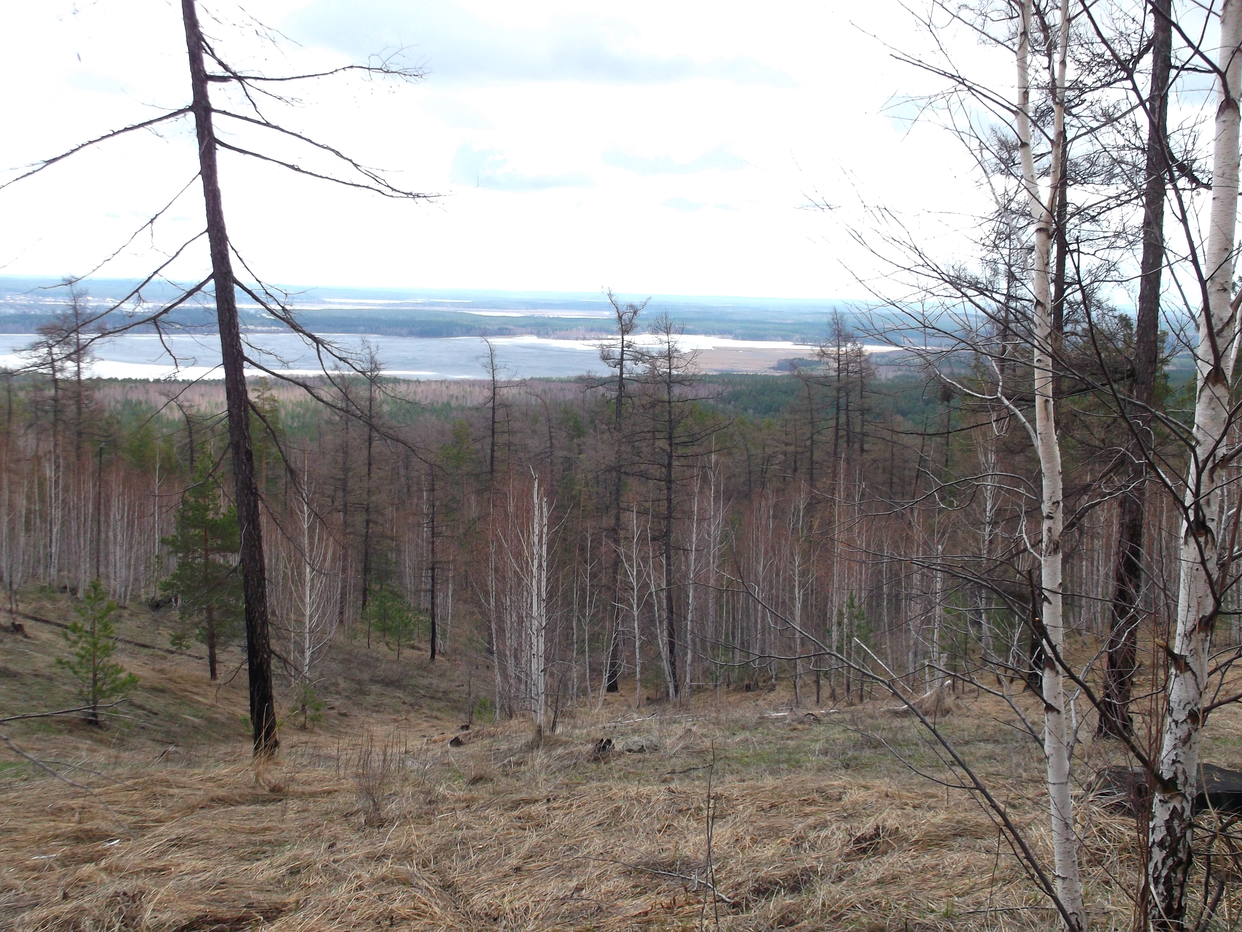 Прогноз кыштым. Фото дороги на горе теплая Кыштым. Kyshtym cheljabinskaja Oblast bolohovcewa Tamara.