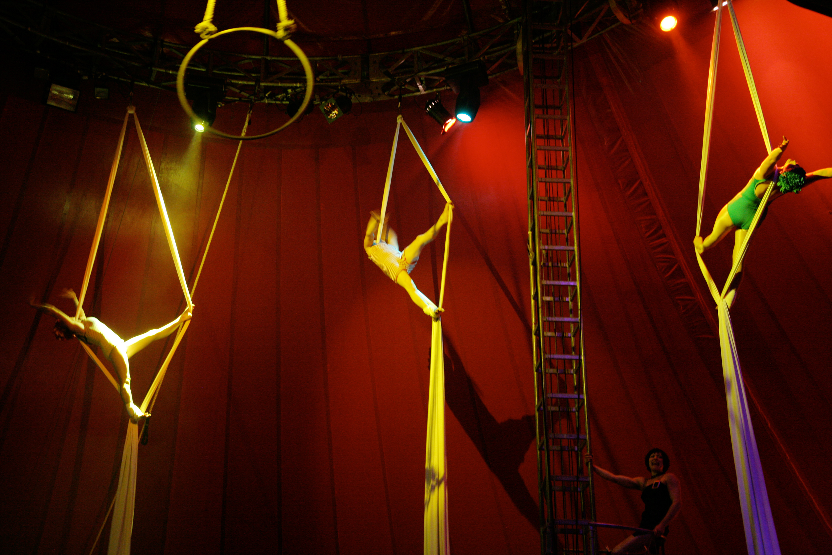 File:Immortal Circus.jpg - Wikimedia Commons