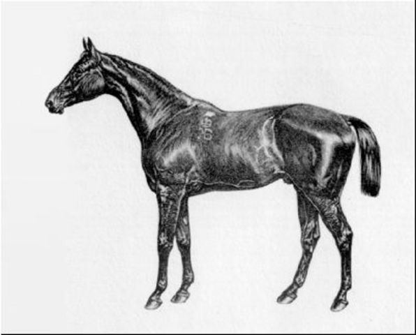 File:Kisber, 1876 Derby winner.jpg