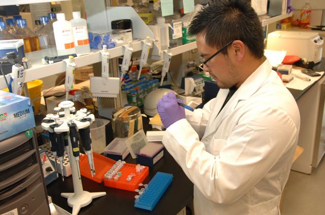 Lab Tech Details about   Lab Rat Mug Laboratory Medical Technician Scientist Experimentalist 