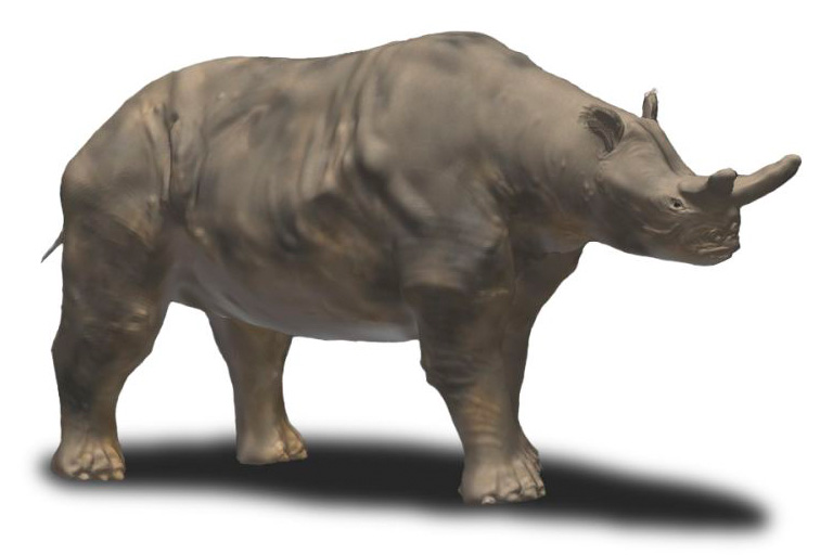 File:Megacerops BW.jpg