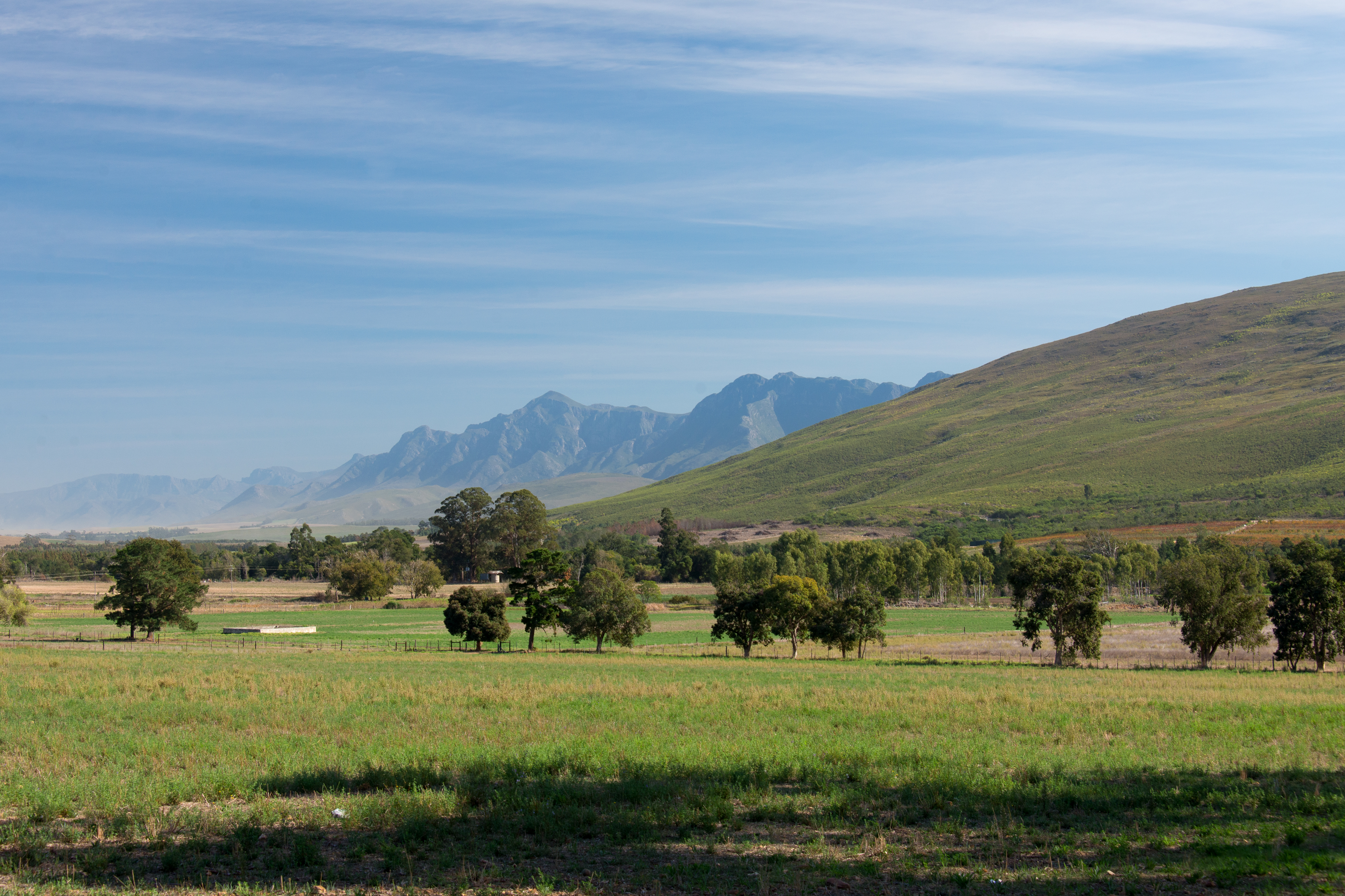 File:UNOPAR de Campo Maior.jpg - Wikimedia Commons