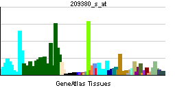 File:PBB GE ABCC5 209380 s at tn.png