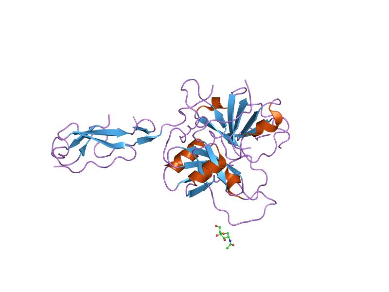 File:PDB 1md7 EBI.jpg