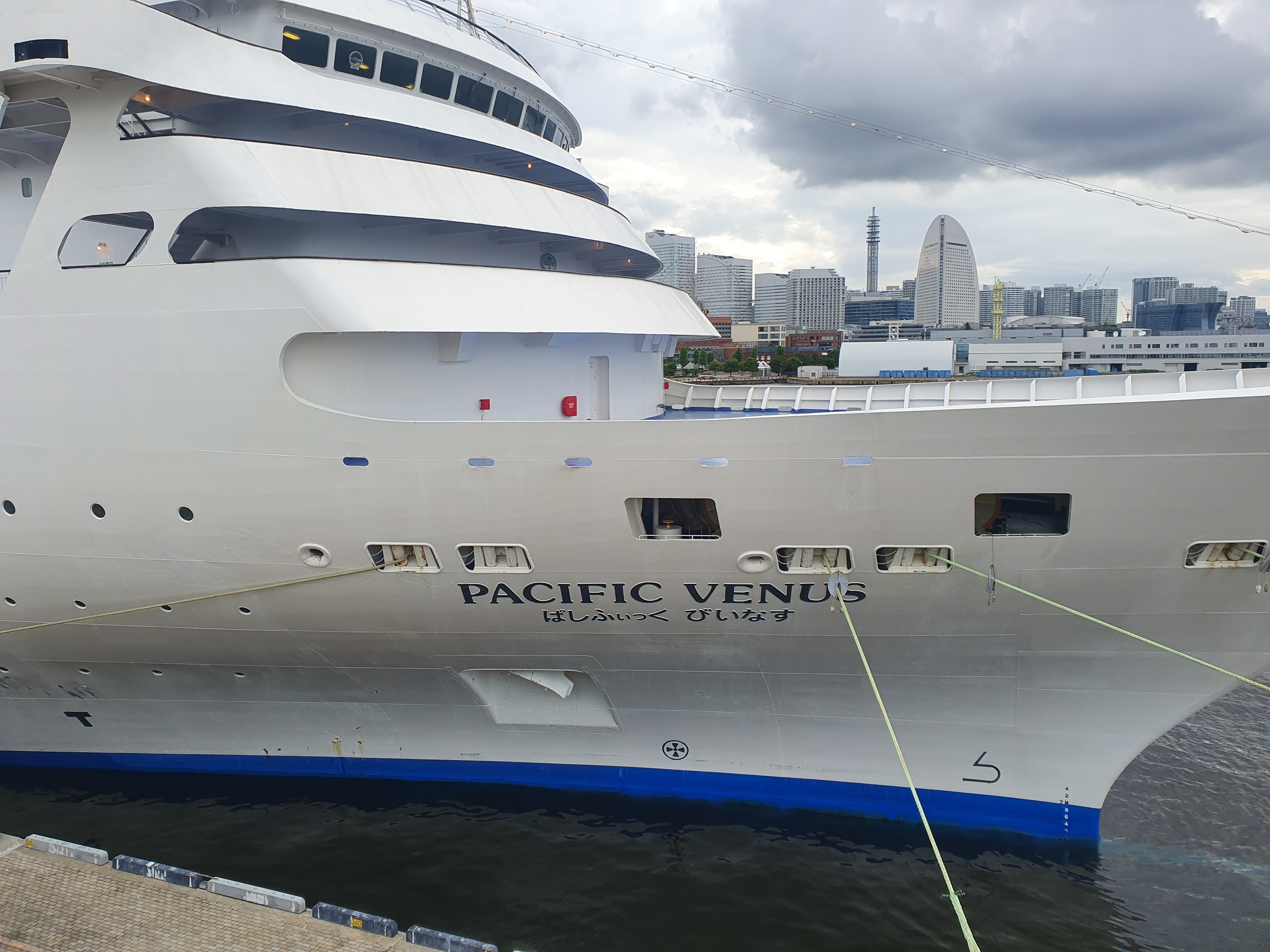 File Pacific Venus Cruise Ship Docked At Yokohama International Passenger Terminal 9 Jpg Wikimedia Commons