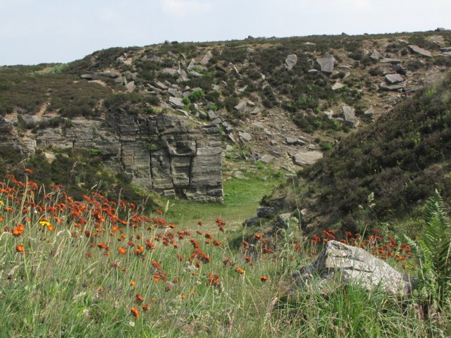 Penistone Hill - geograph.org.uk - 1945552