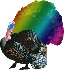 File:Queer turkey.png