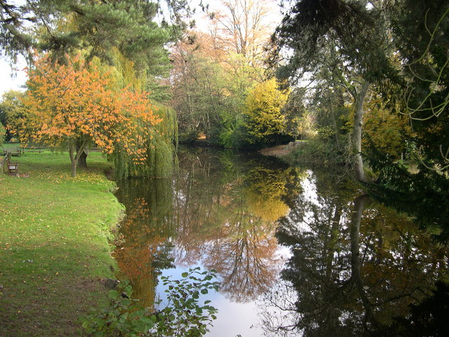 Reflected trees, Eardisland - geograph.org.uk - 635060