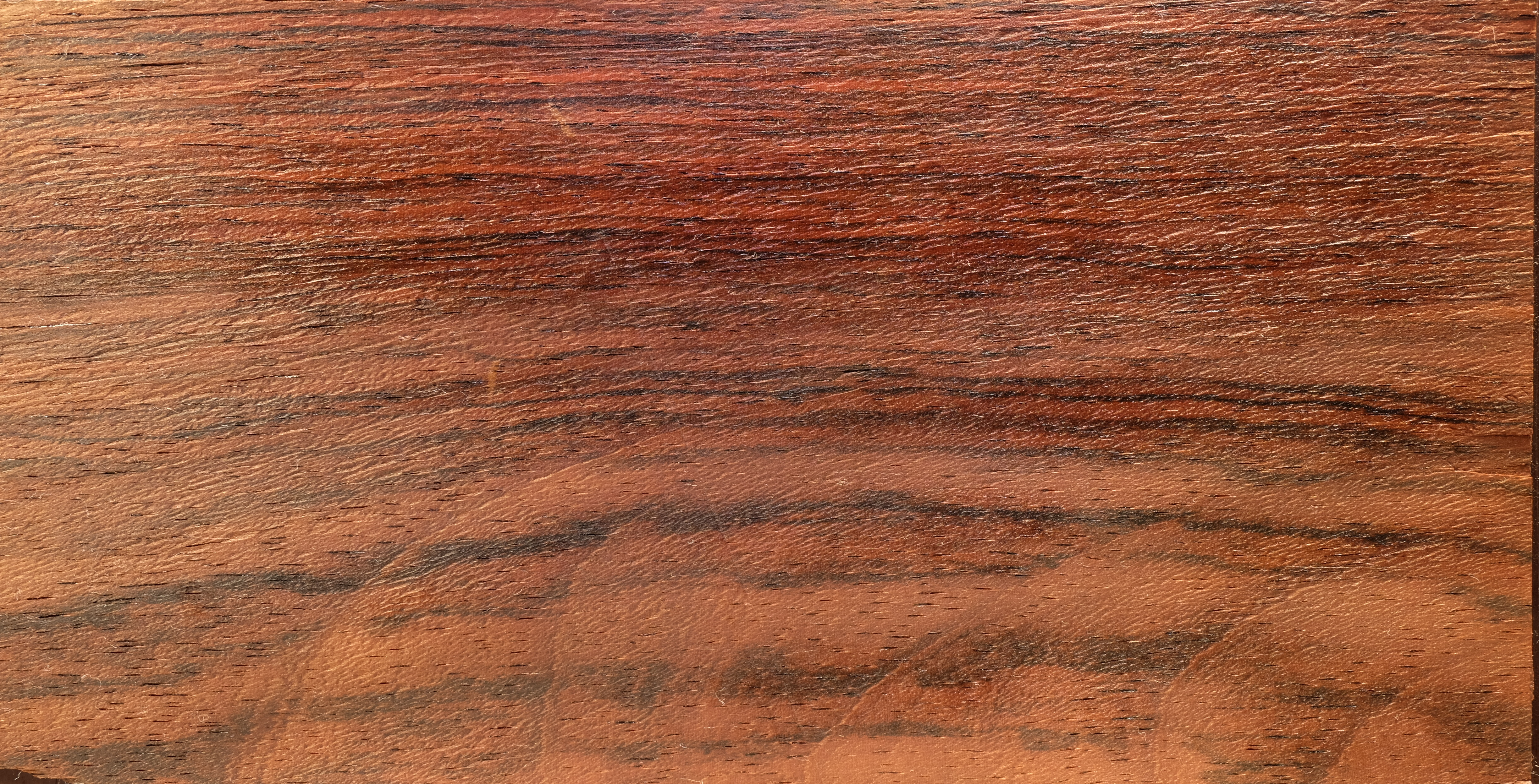 The Malagasy rosewood is more than ever threatened!