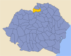 Положення Радівецького повіту у межах Королівства Румунія
