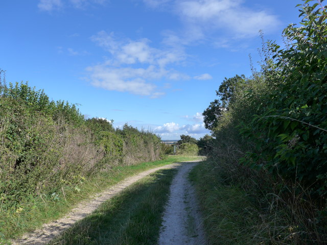 File:South Downs Way, Winchester to Exton (36) - geograph.org.uk - 4139530.jpg