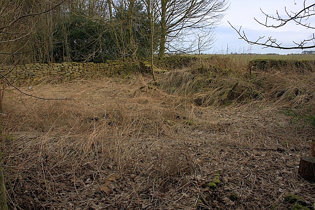 File:Wilkinson's Shed - geograph.org.uk - 1737564.jpg