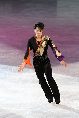 File:2010 World Figure Skating Championships Gala - 8612.jpg