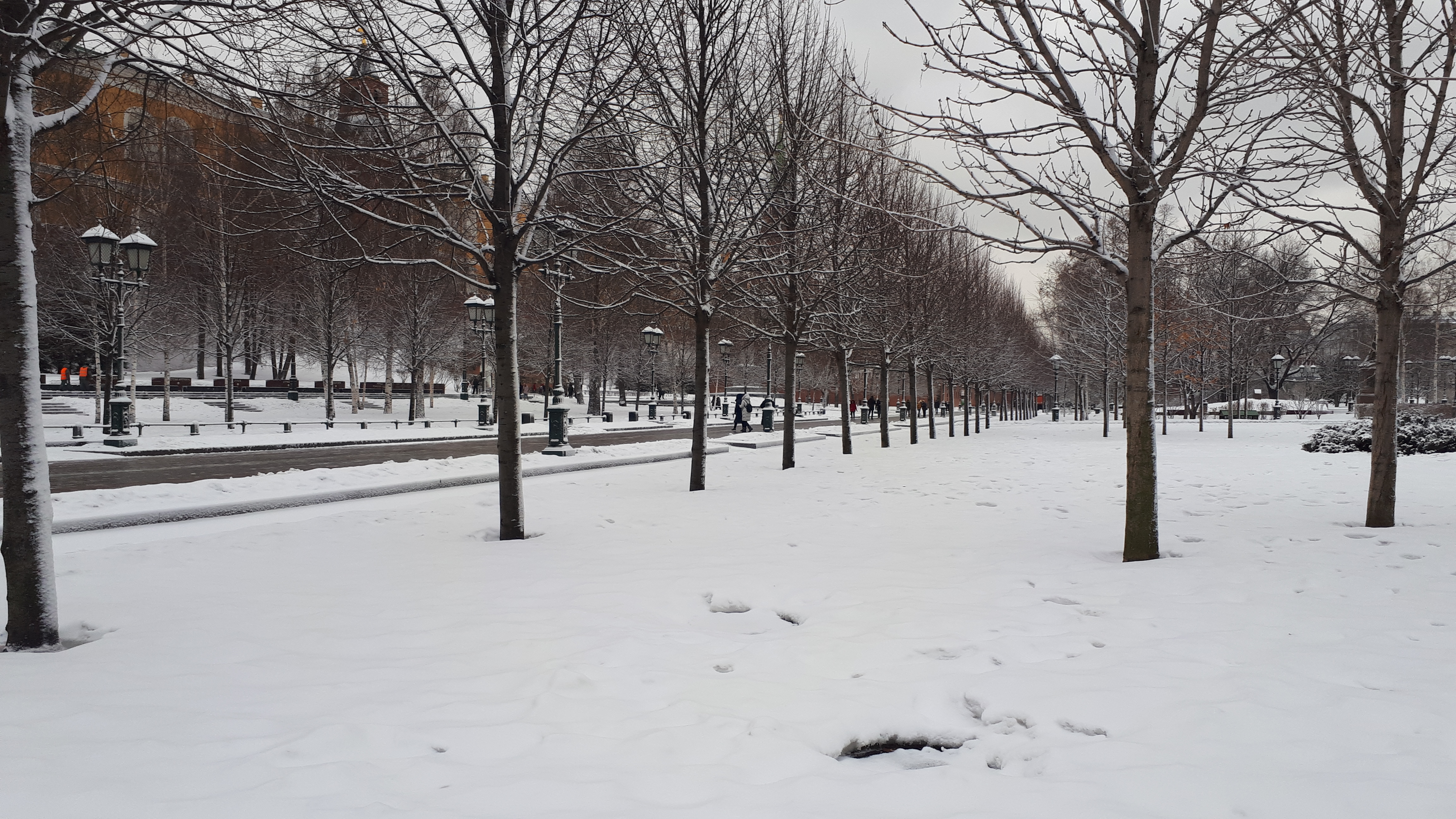 Февраль 2019 россия. Первый снег в Москве фото. Снег в Москве Крылатское. Фото Москва февраль 2024. Москва зима 1978.