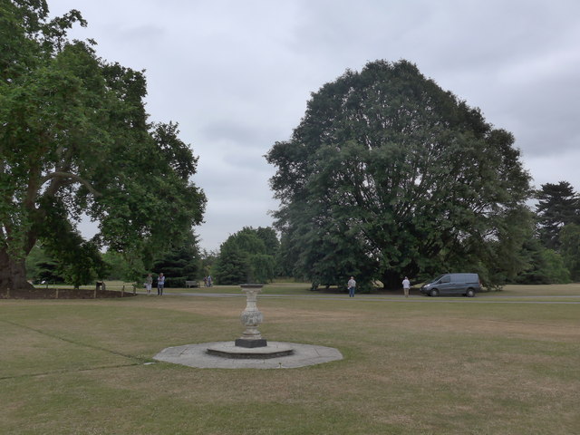 File:A summer stroll around Kew (13) - geograph.org.uk - 4534499.jpg