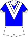 Auckland vulcans jersey.JPG