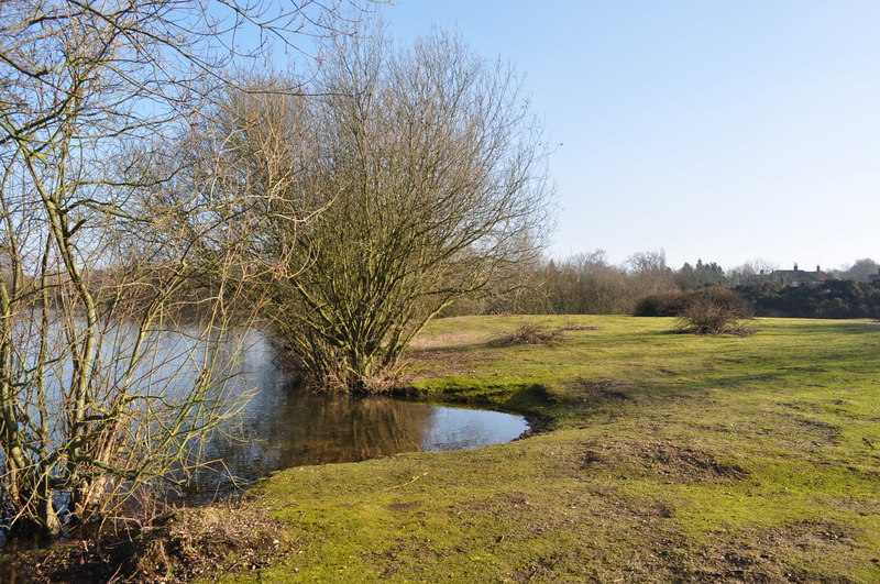 File:Broome Heath - geograph.org.uk - 1714465.jpg