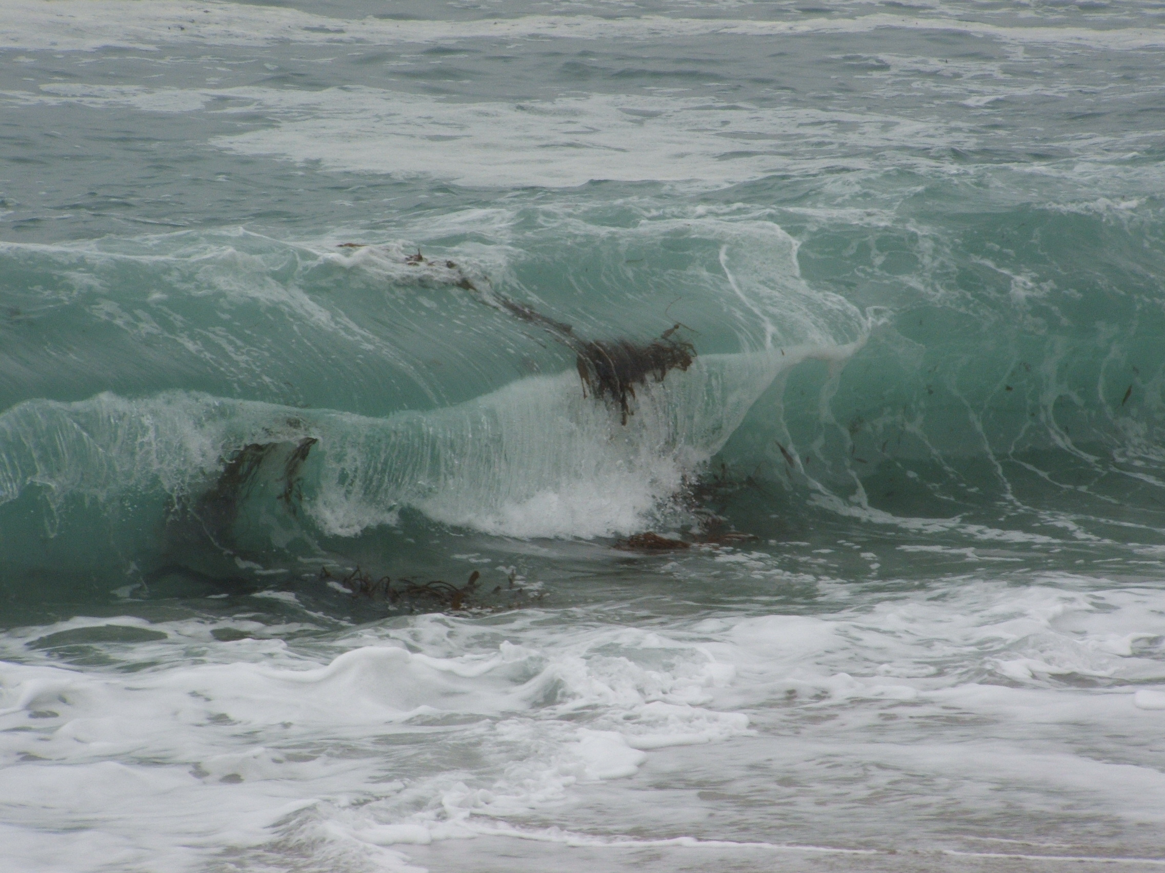 Filecarmel River State Beach Breaking Wave 02