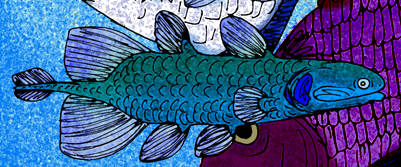 File:Coelacanthus cropped.png