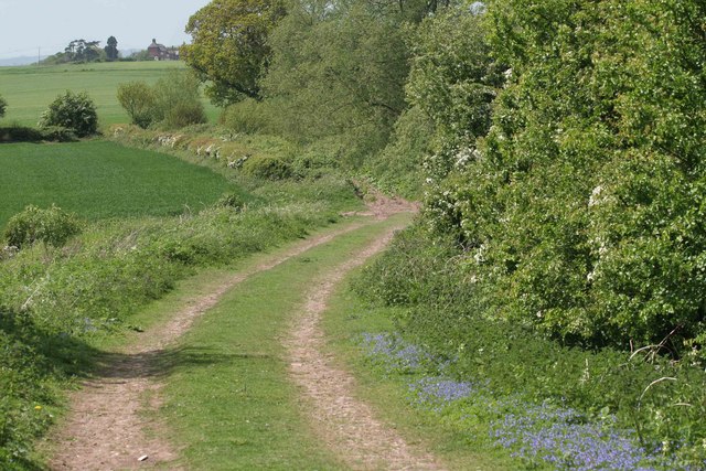 File:Country track - geograph.org.uk - 1304258.jpg