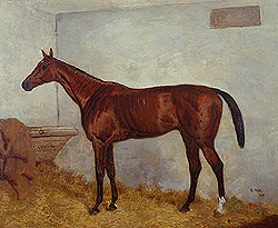 <span class="mw-page-title-main">Cremorne (horse)</span> British-bred Thoroughbred racehorse