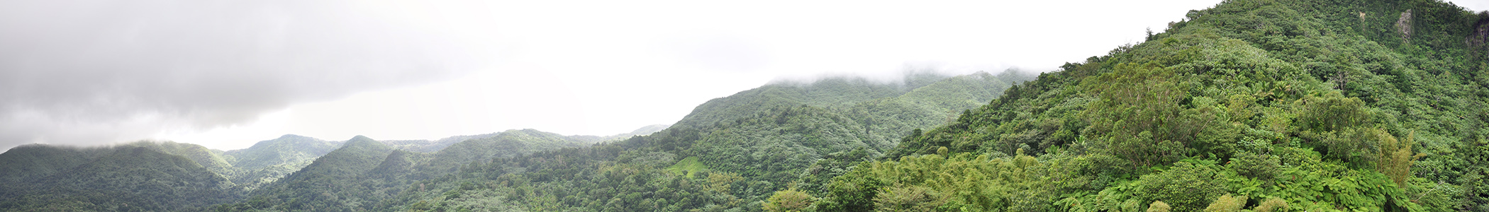 Photo of El Yunque National Forest