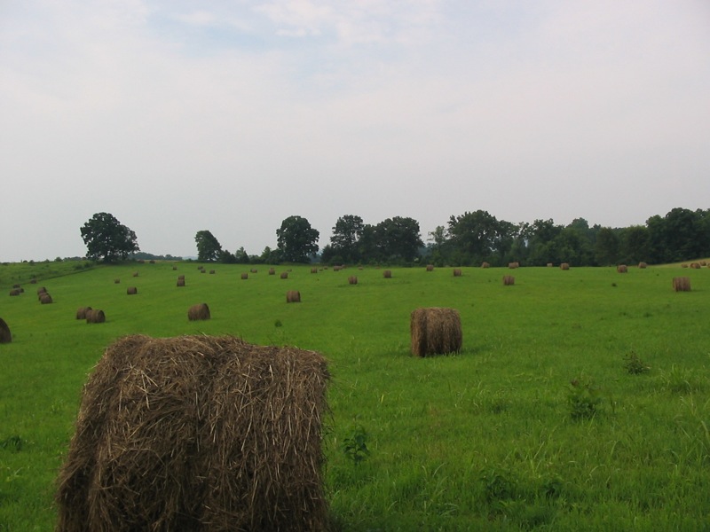 File:Farm fields (Abbey of Gethsemani).jpg