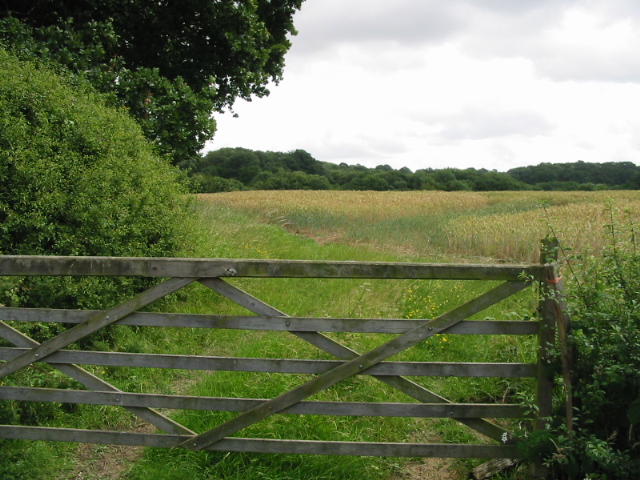 File:Field off Dingleden Lane near Cattsford - geograph.org.uk - 891880.jpg