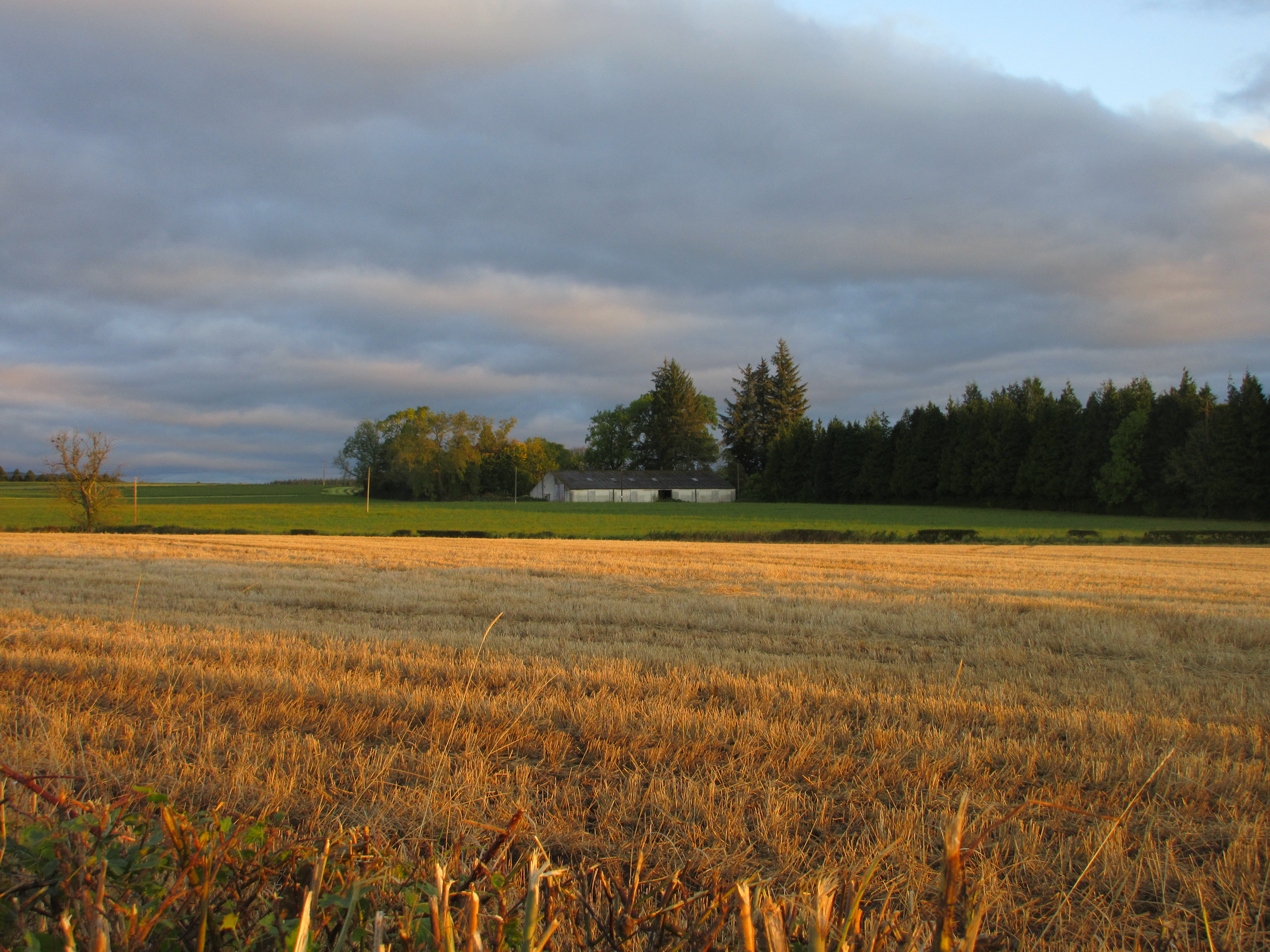 Battle of Methven