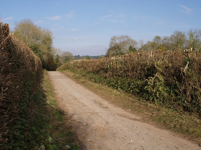 File:Lane to Kingskerswell - geograph.org.uk - 606918.jpg