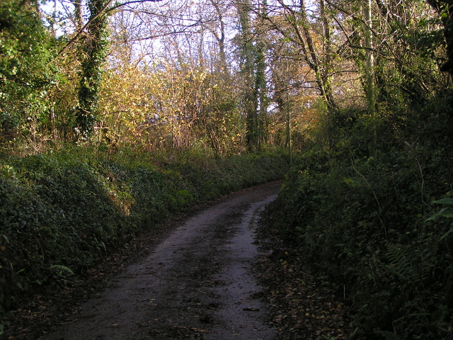 File:Lane to farms and bridleway south of Butterleigh - geograph.org.uk - 1584334.jpg