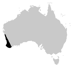 Litoria moorei distrib.PNG