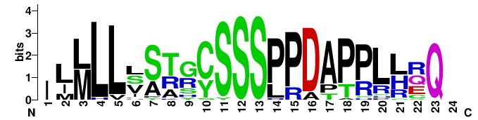 Logo of 26 repeats within C13orf46 Isoform X1 Logo of Repeats.png
