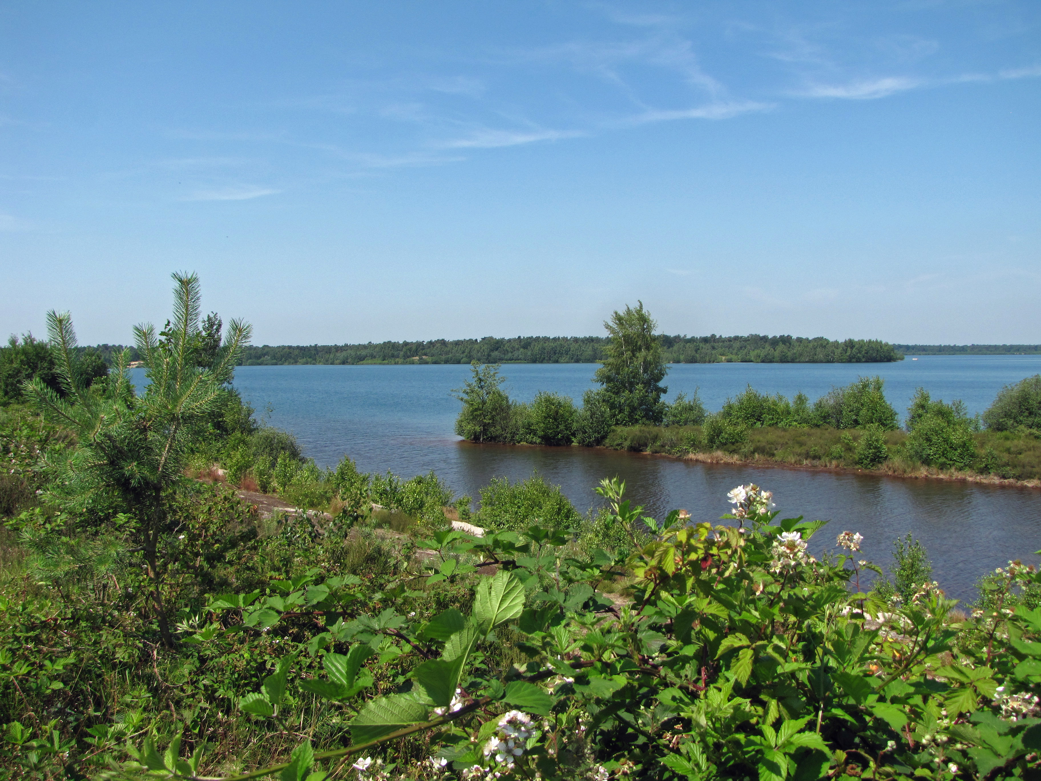 Maasduinen.jpg