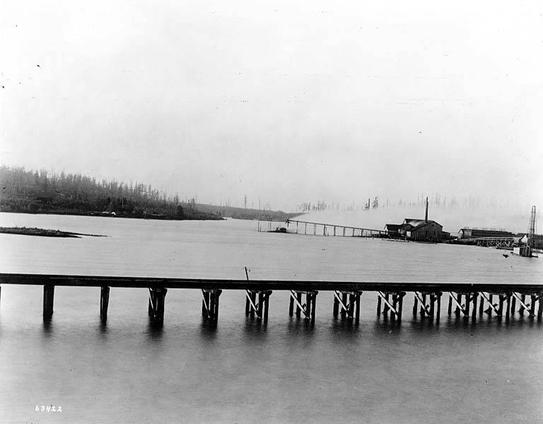 File:Mill at Salmon Bay, ca 1890s (SEATTLE 287).jpg